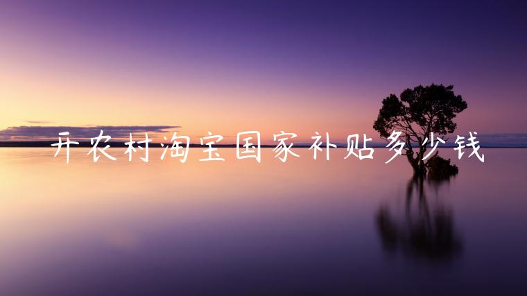 開(kāi)農(nóng)村淘寶國(guó)家補(bǔ)貼多少錢(qián)